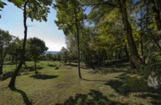 alberghi-diffusi-casa-vacanze-montagna-stali-dai-clapons
