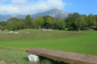monte-cuar-friuli-montagna 