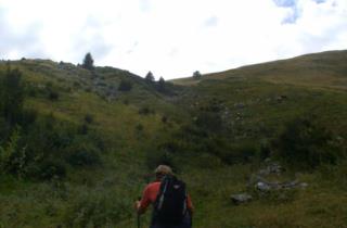 monte-cuar-friuli-montagna 